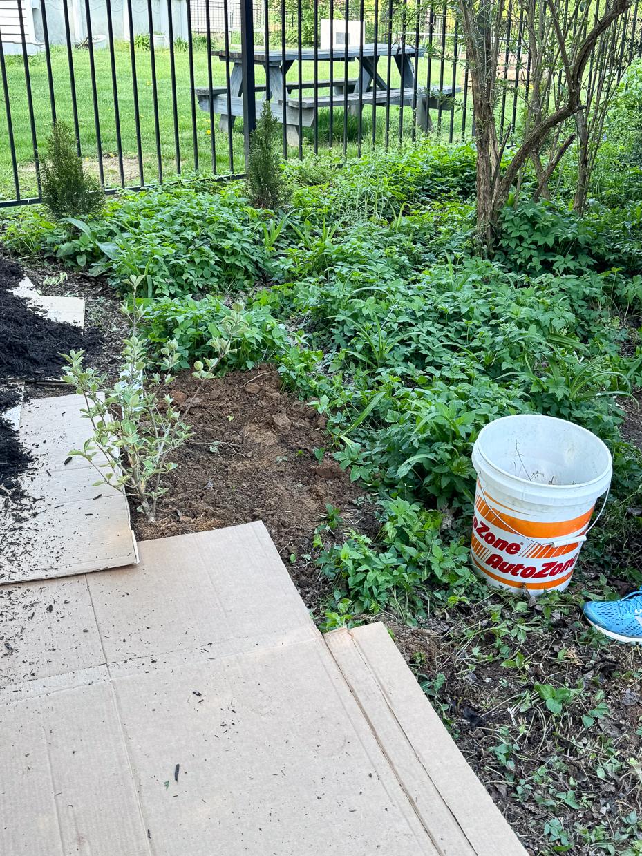 2025 home renovation recap | miss mustard seed