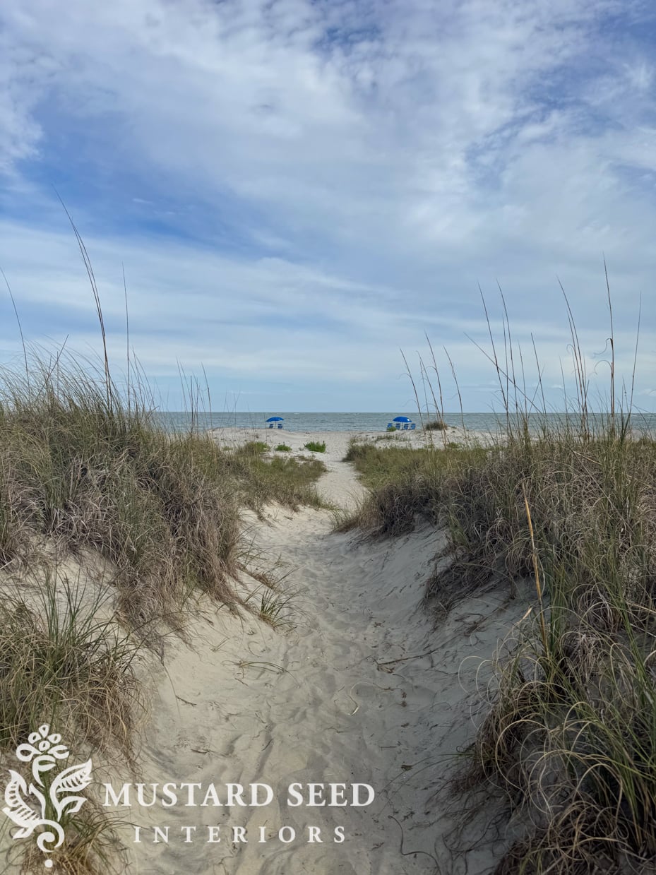 Isle of Palms and Wild Dunes Shelling Guide | South Carolina | miss mustard seed