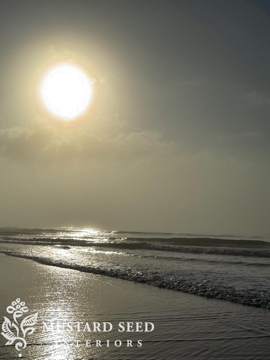isle of palms | shelling diaries | miss mustard seed