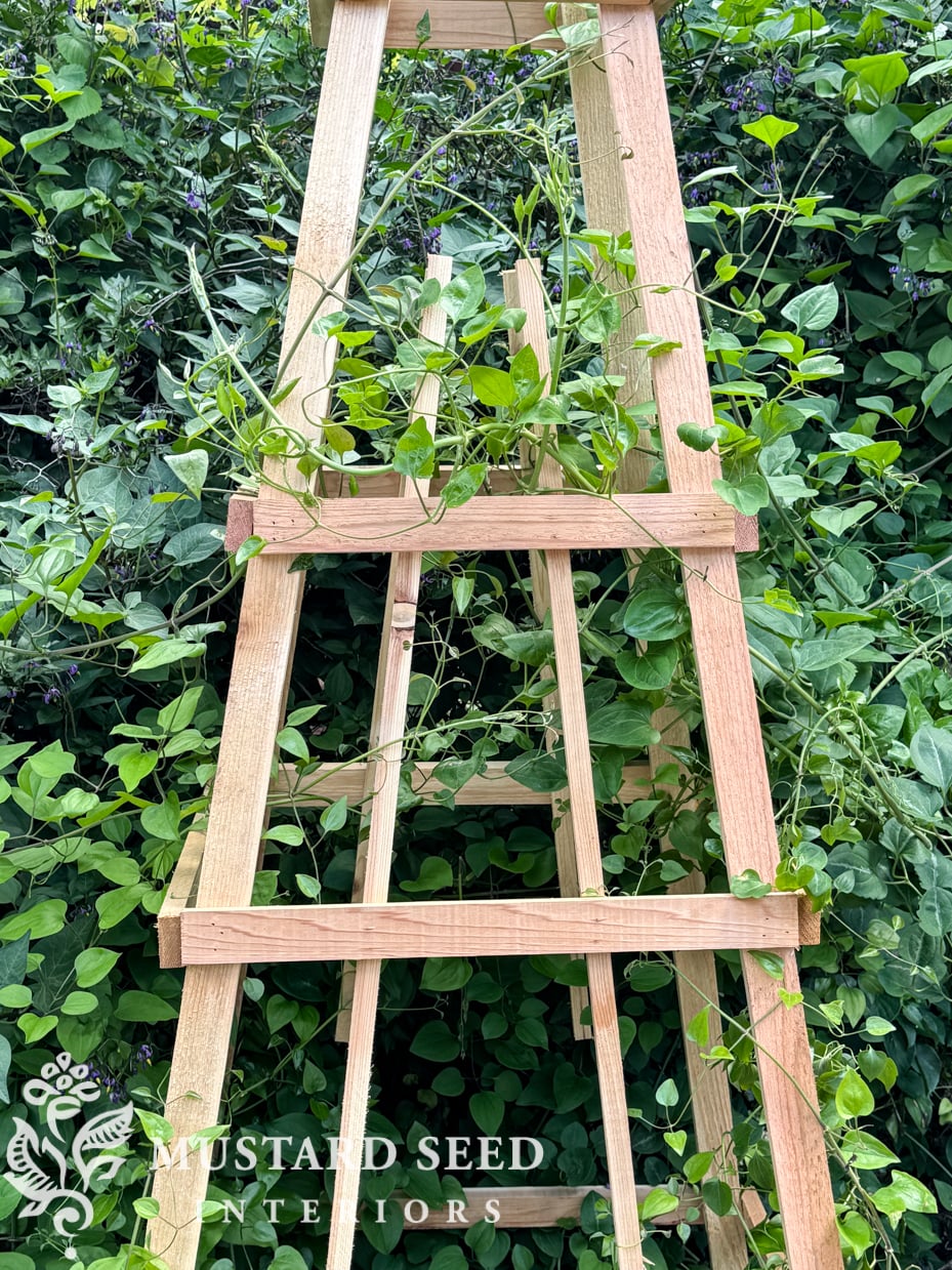 diy cedar garden obelisk | miss mustard seed