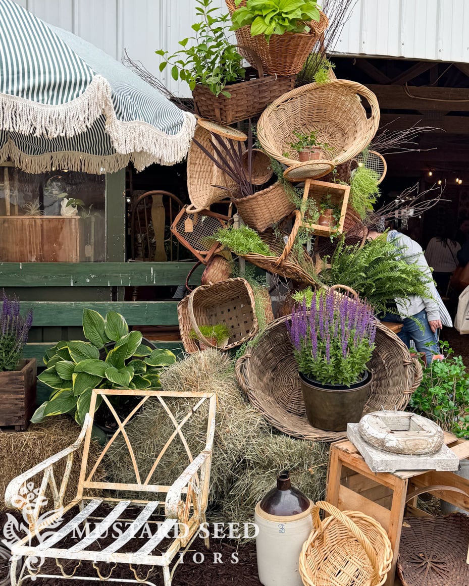 lucketts spring market 2024 | miss mustard seed