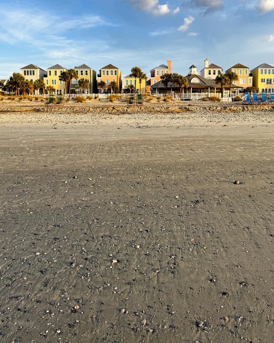shelling at isle of palms | miss mustard seed