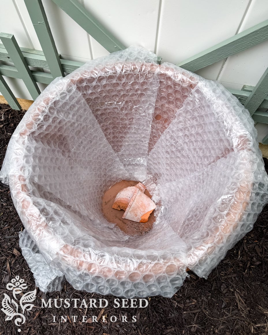 planting espalier trees in terra cotta pots | miss mustard seed