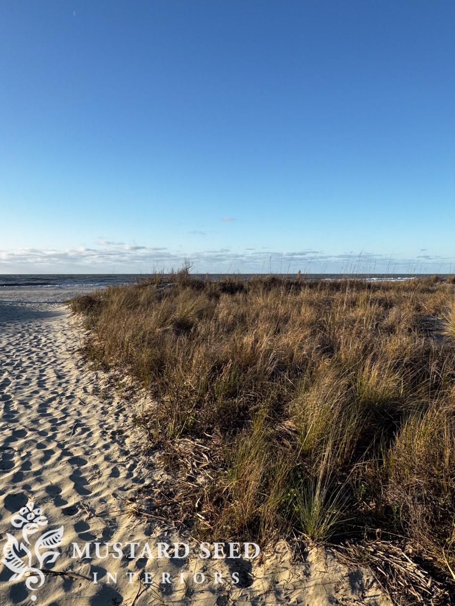 shelling at isle of palms | miss mustard seed