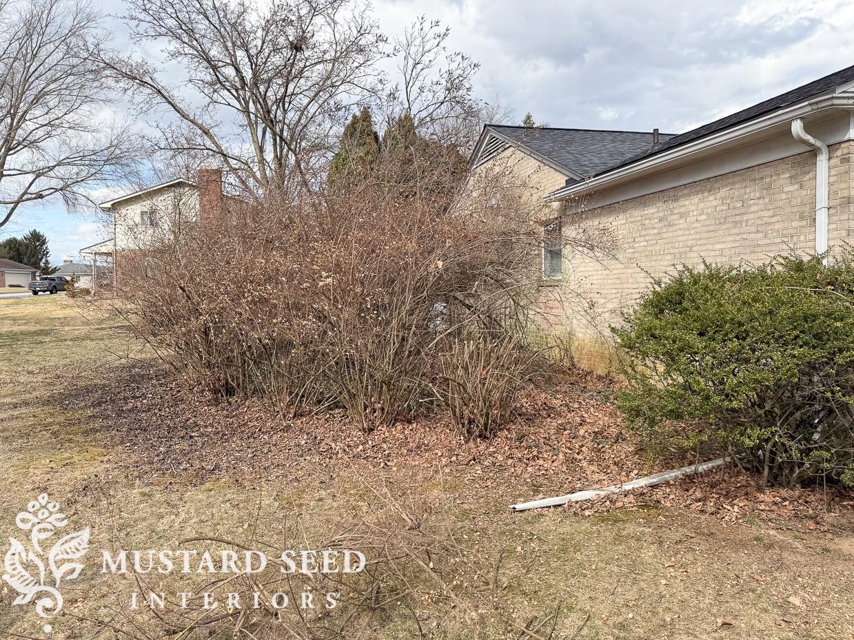 2025 yard clean-up | miss mustard seed