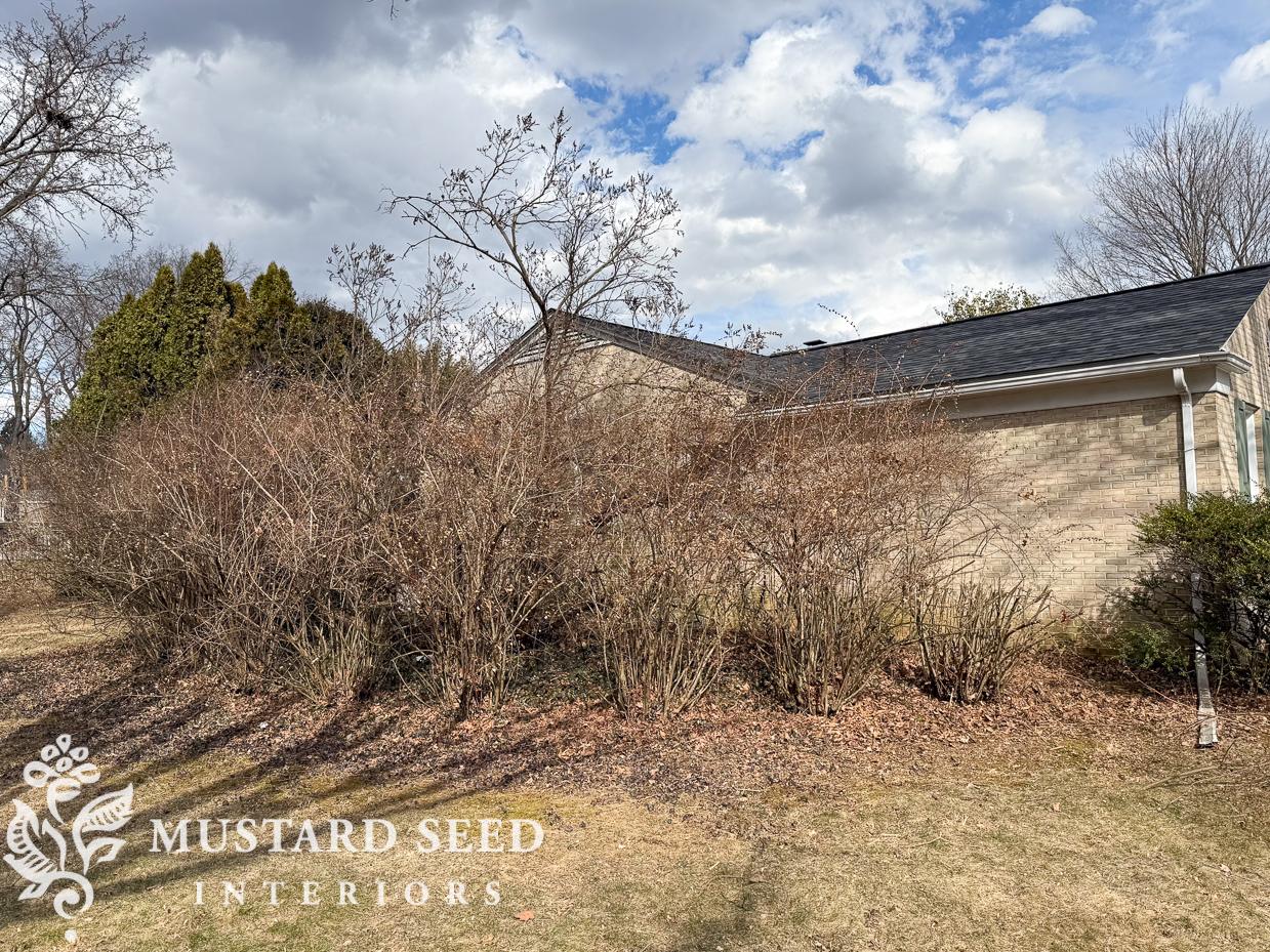 2025 yard clean-up | miss mustard seed