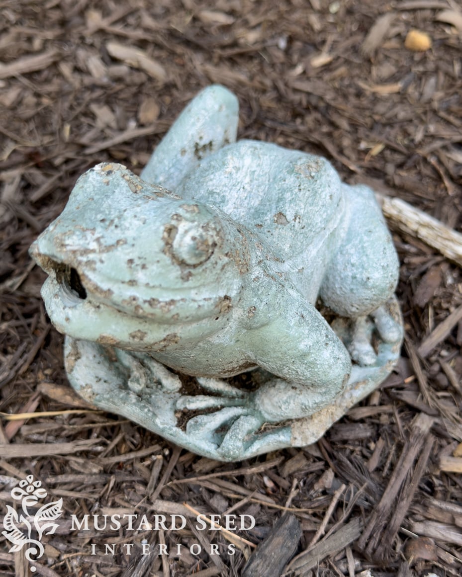 concrete spitter fountain frog | miss mustard seed