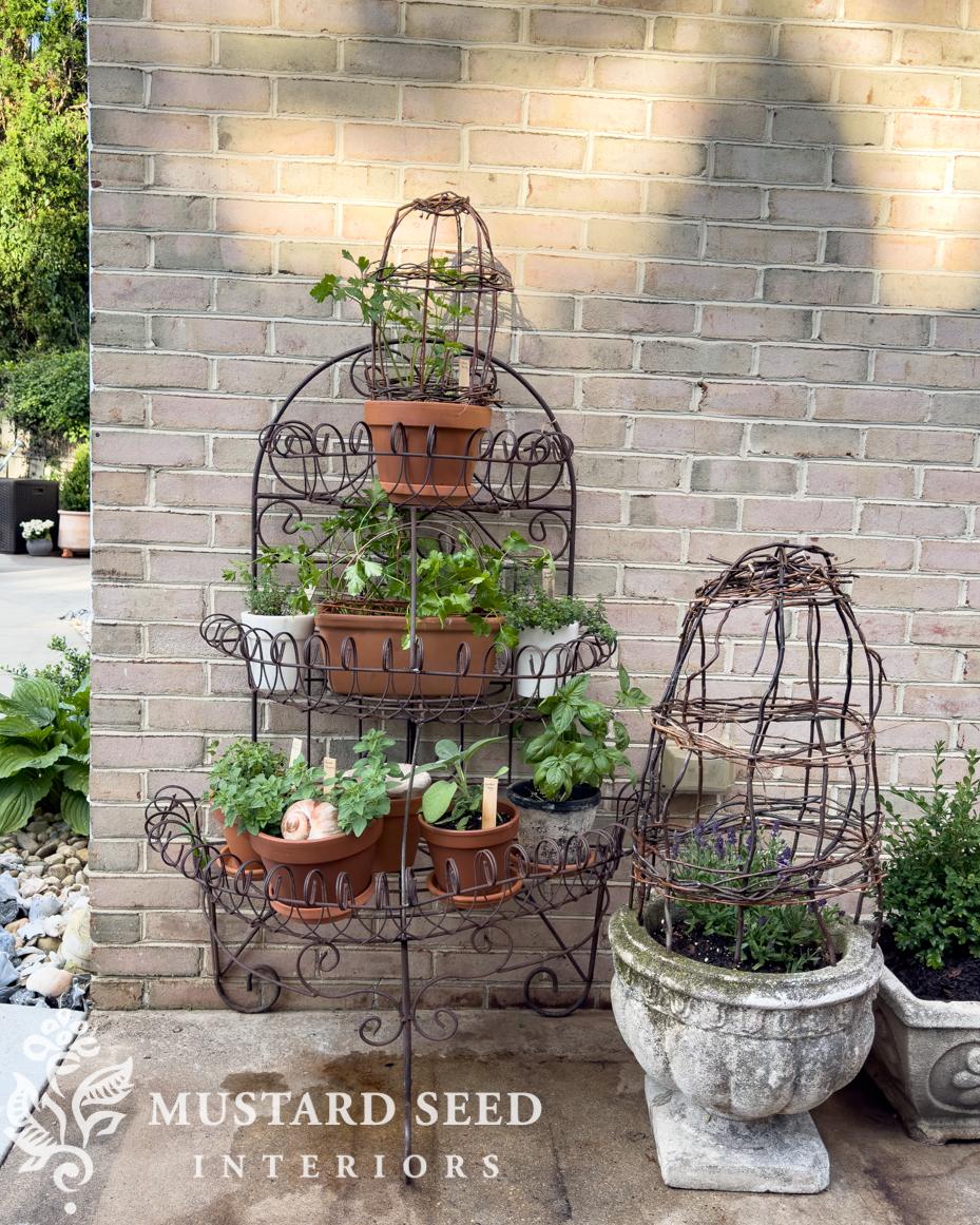 weaving willow cloches | miss mustard seed