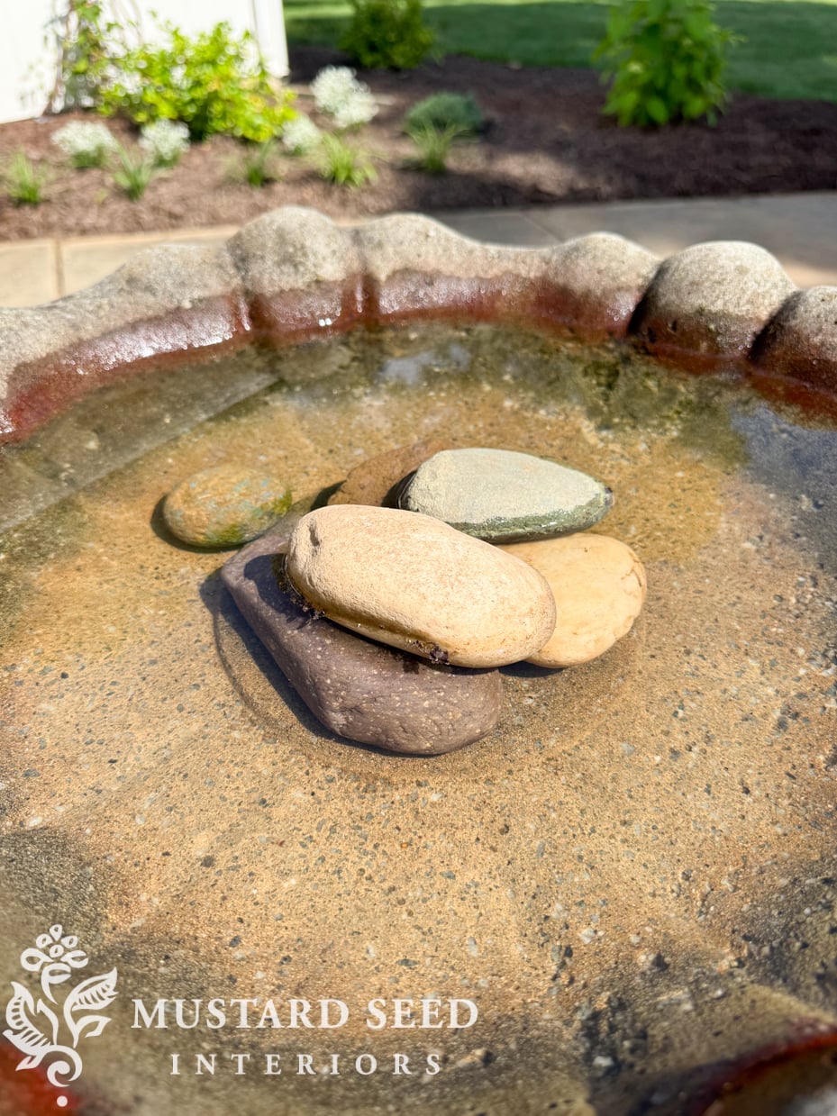 rocks in a concrete birdbath | miss mustard seed