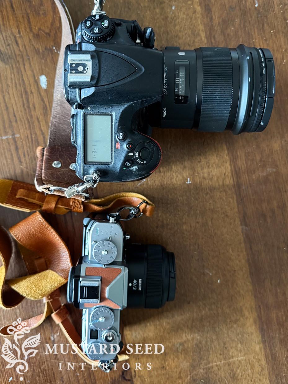 nikon zf review by artist for social media videos and photography | miss mustard seed