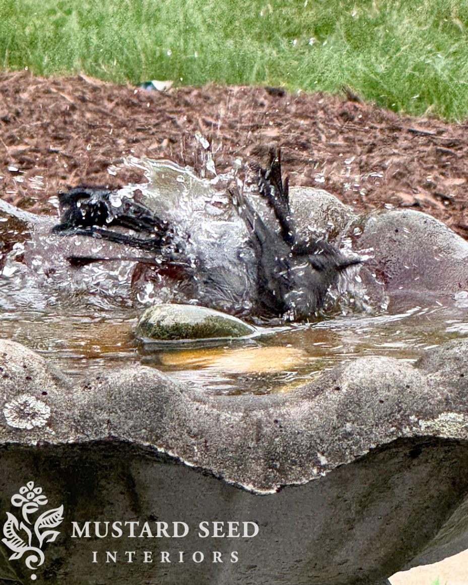 concrete birdbath | miss mustard seed
