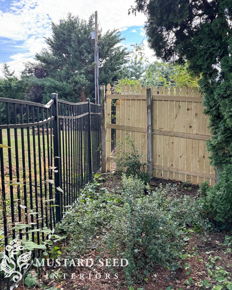 spirea bushes in weedy corner | miss mustard seed