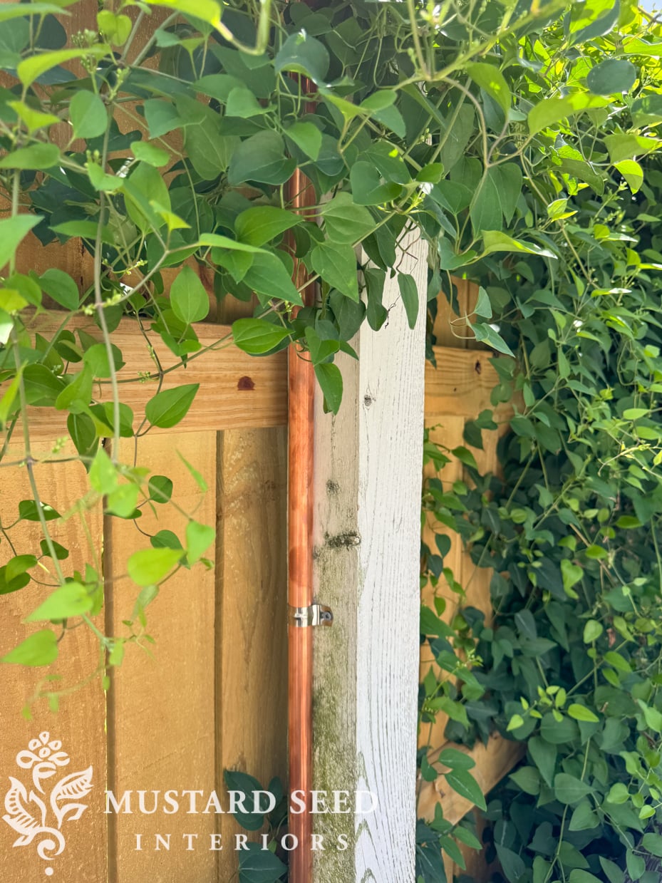 antique duck whirligig | miss mustard seed
