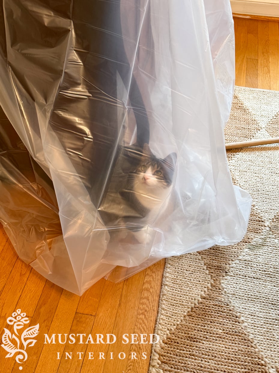painting dining room ceiling | miss mustard seed