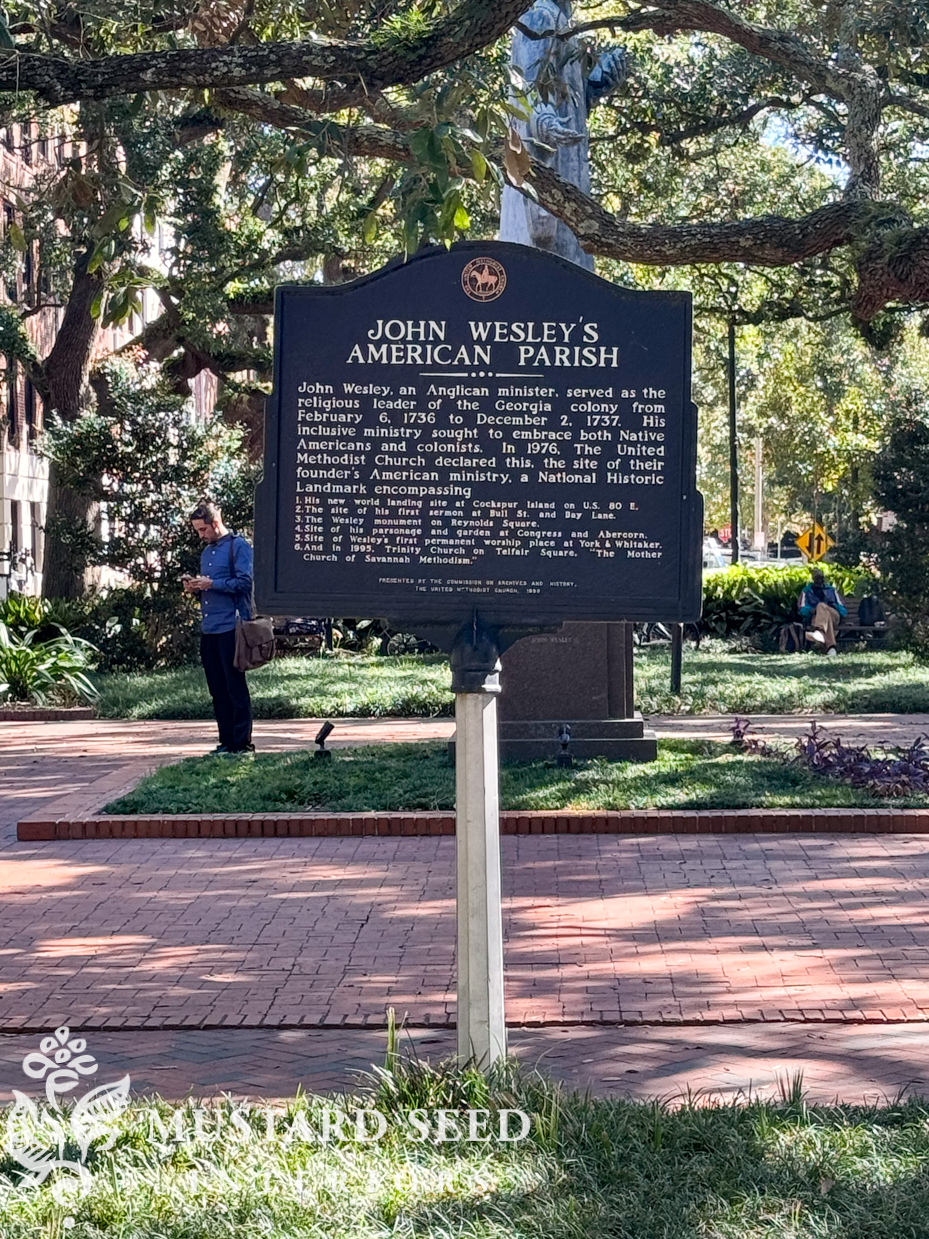savannah | miss mustard seed