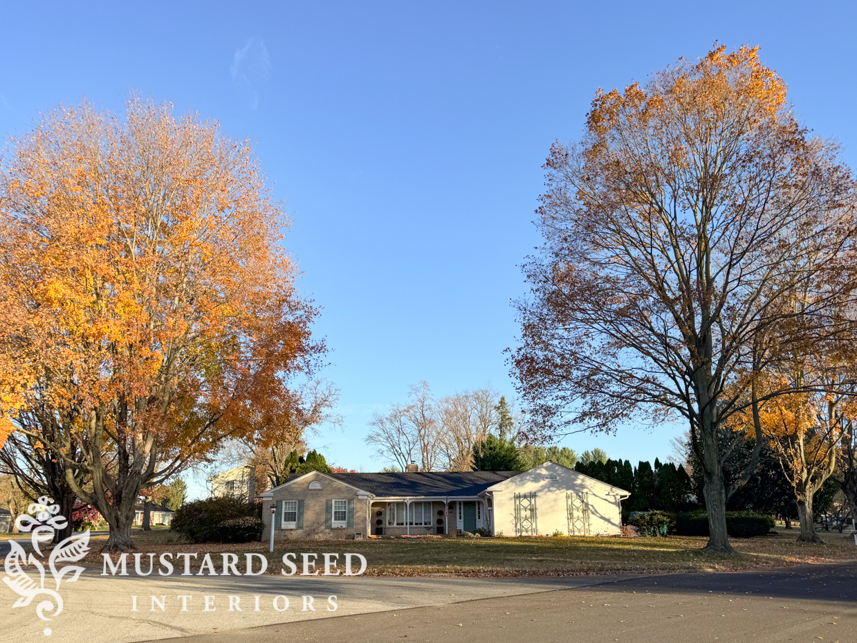 maple trees | putting the garden to bed for winter | miss mustard seed