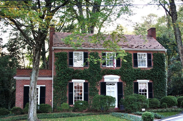 ivy growing on a brick house | miss mustard seed