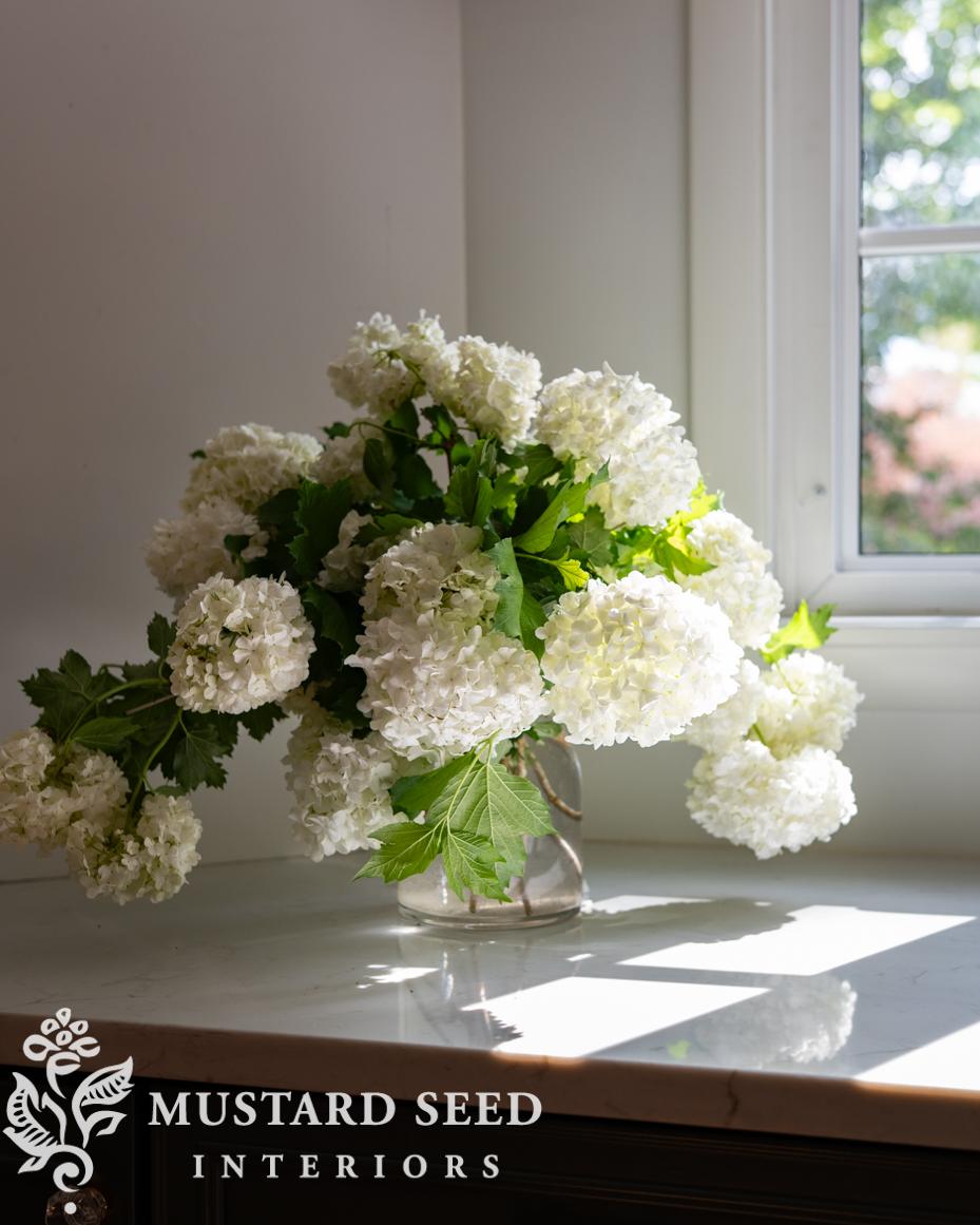 snowball viburnum | miss mustard seed