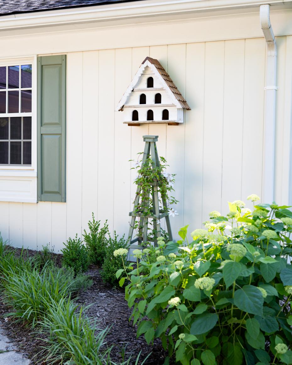 may garden notes | miss mustard seed