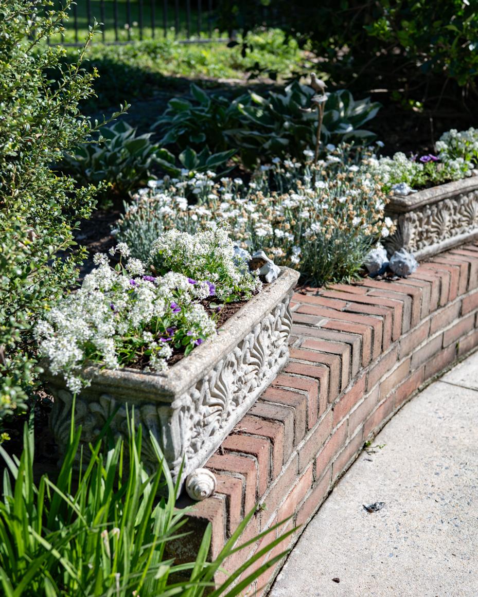 may garden notes | miss mustard seed