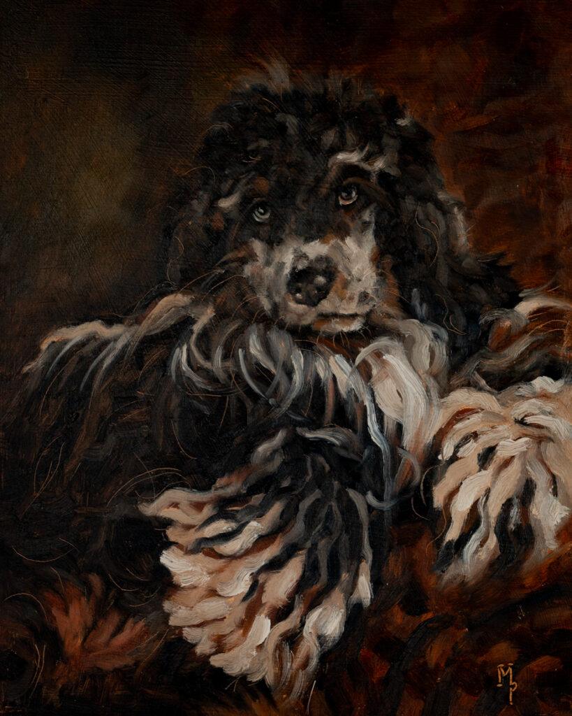 original oil painting | dog portrait in oils | marian parsons | miss mustard seed