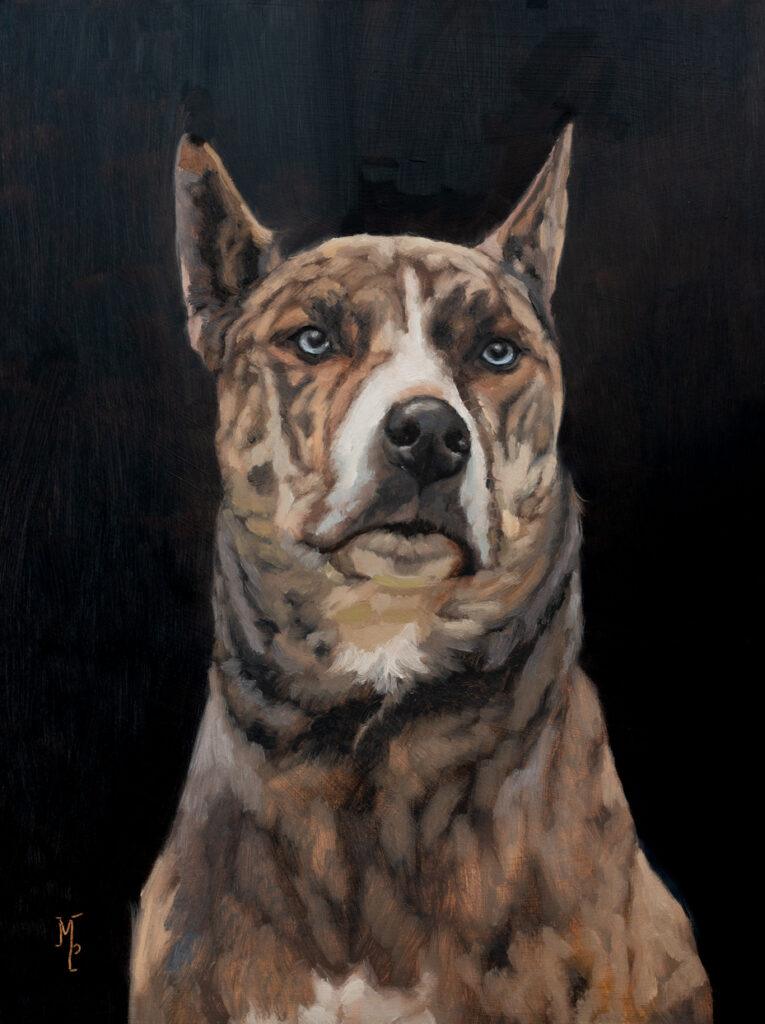 original oil painting | dog portrait in oils | marian parsons | miss mustard seed