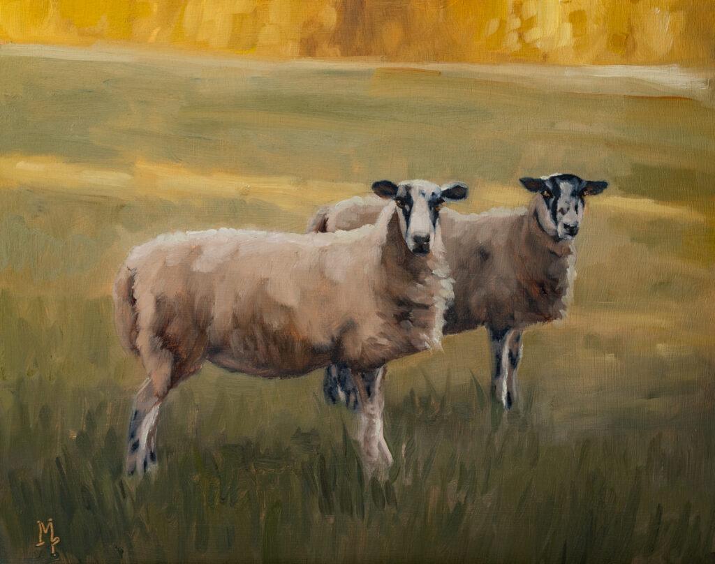 cowsold sheep oil painting | marian parsons fine art | miss mustard seed