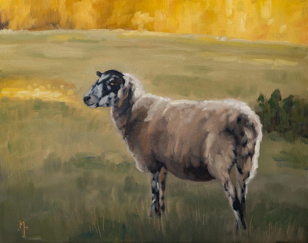 cowsold sheep oil painting | marian parsons fine art | miss mustard seed