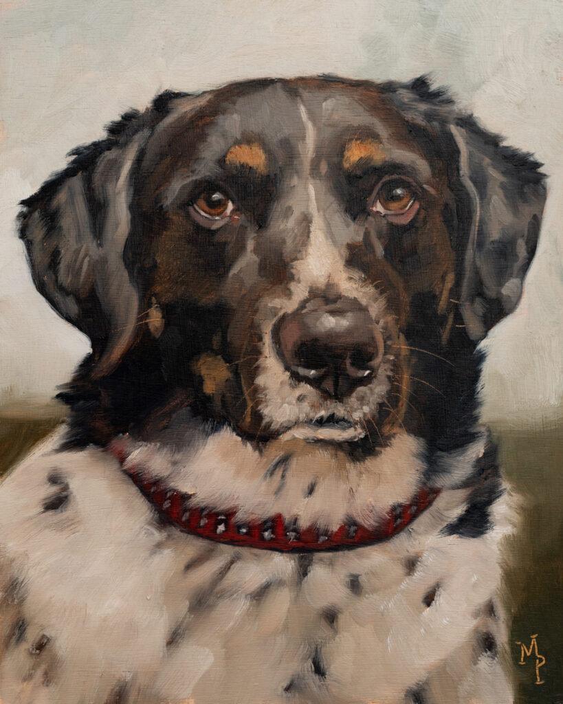 original oil painting | marian parsons fine art | pet portraits | miss mustard seed