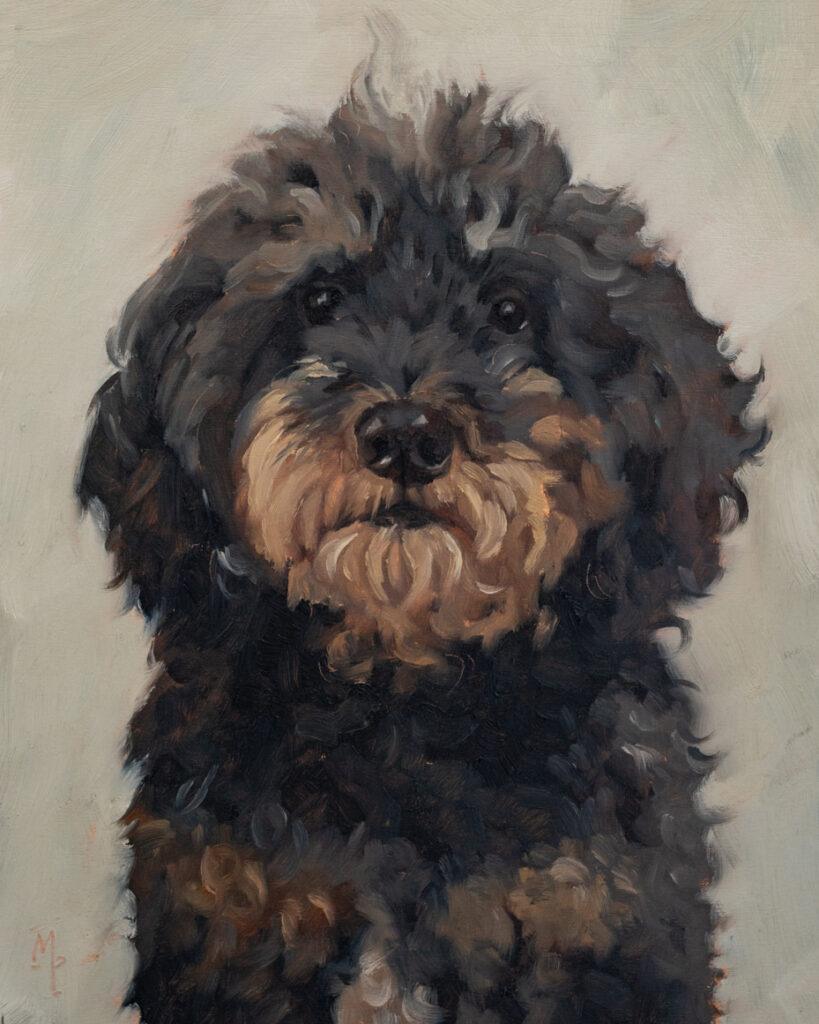 dog portrait in oils | marian parsons fine art