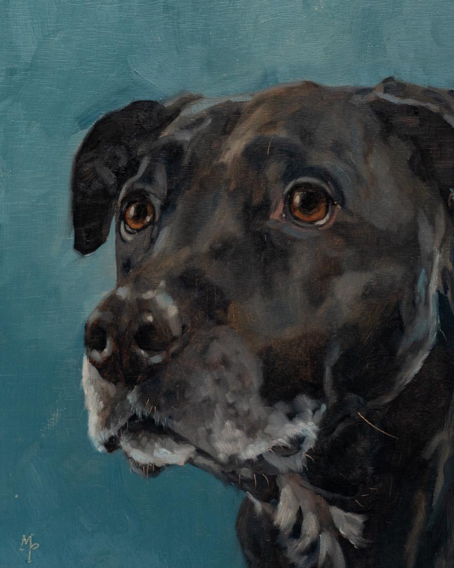 original oil painting | marian parsons | dog portrait | black lab