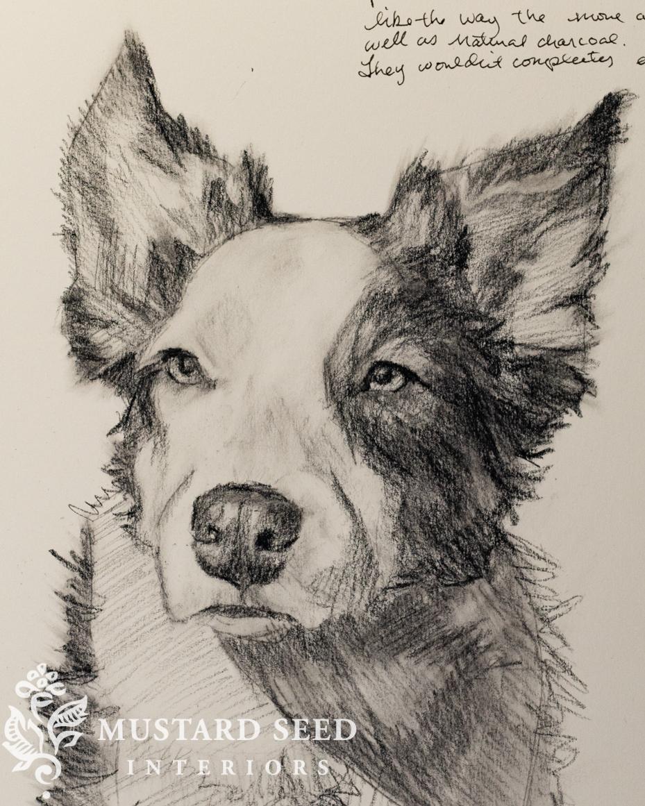 learning charcoal | miss mustard seed