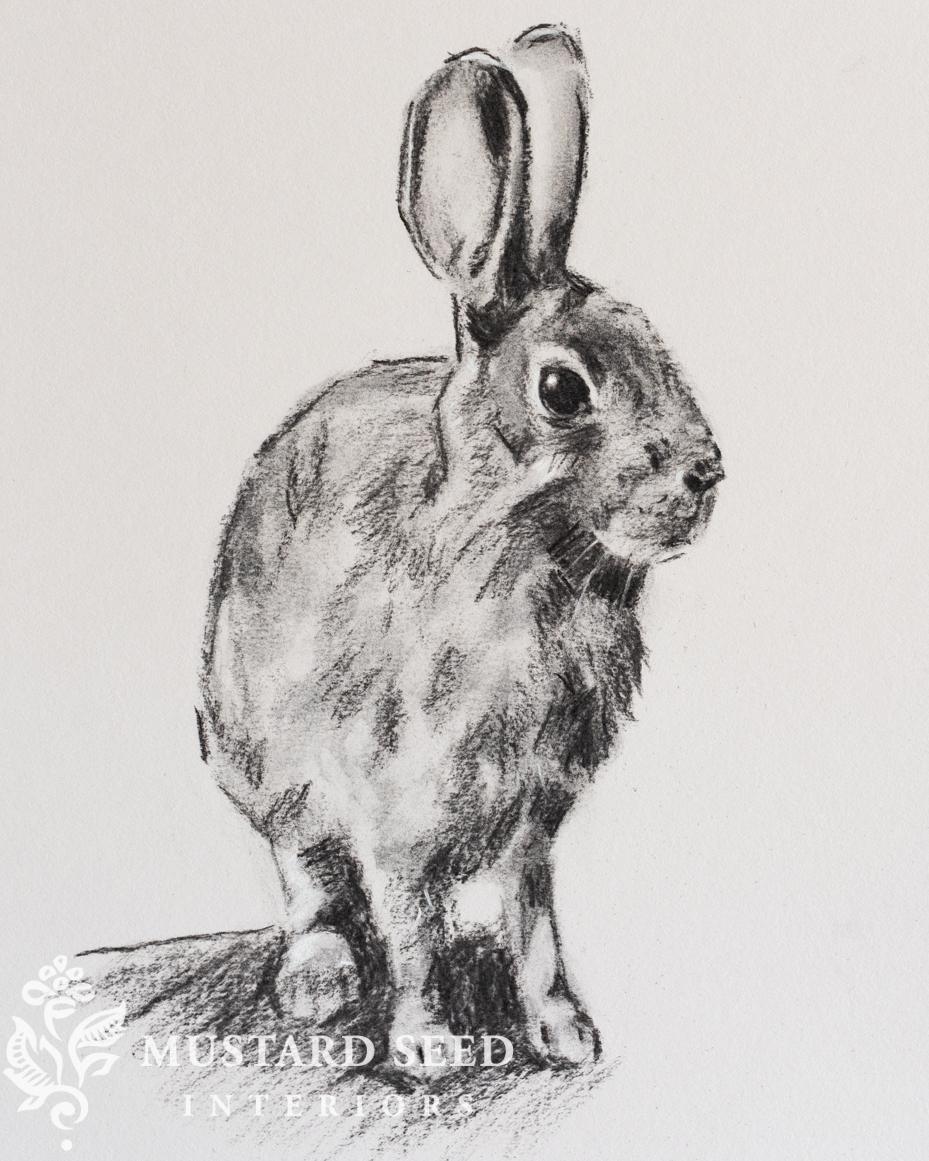 learning charcoal | miss mustard seed