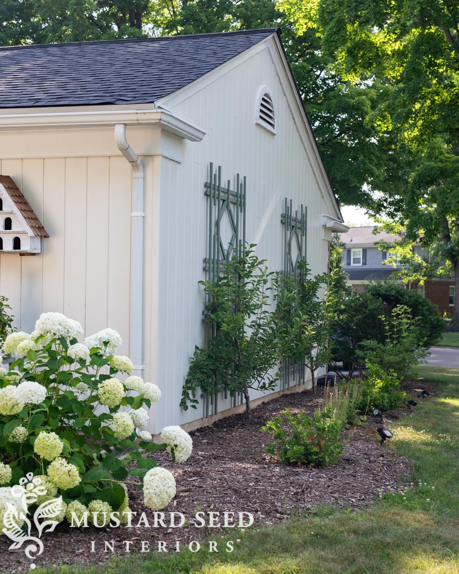 June gardening notes | miss mustard seed