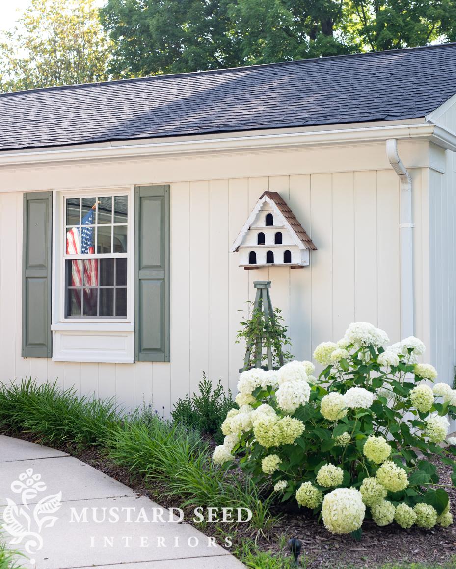 June gardening notes | miss mustard seed