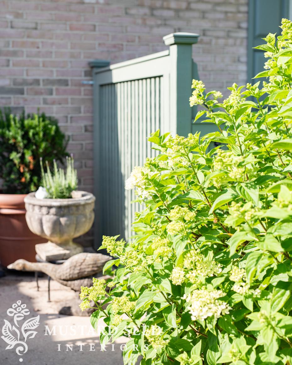 June gardening notes | miss mustard seed