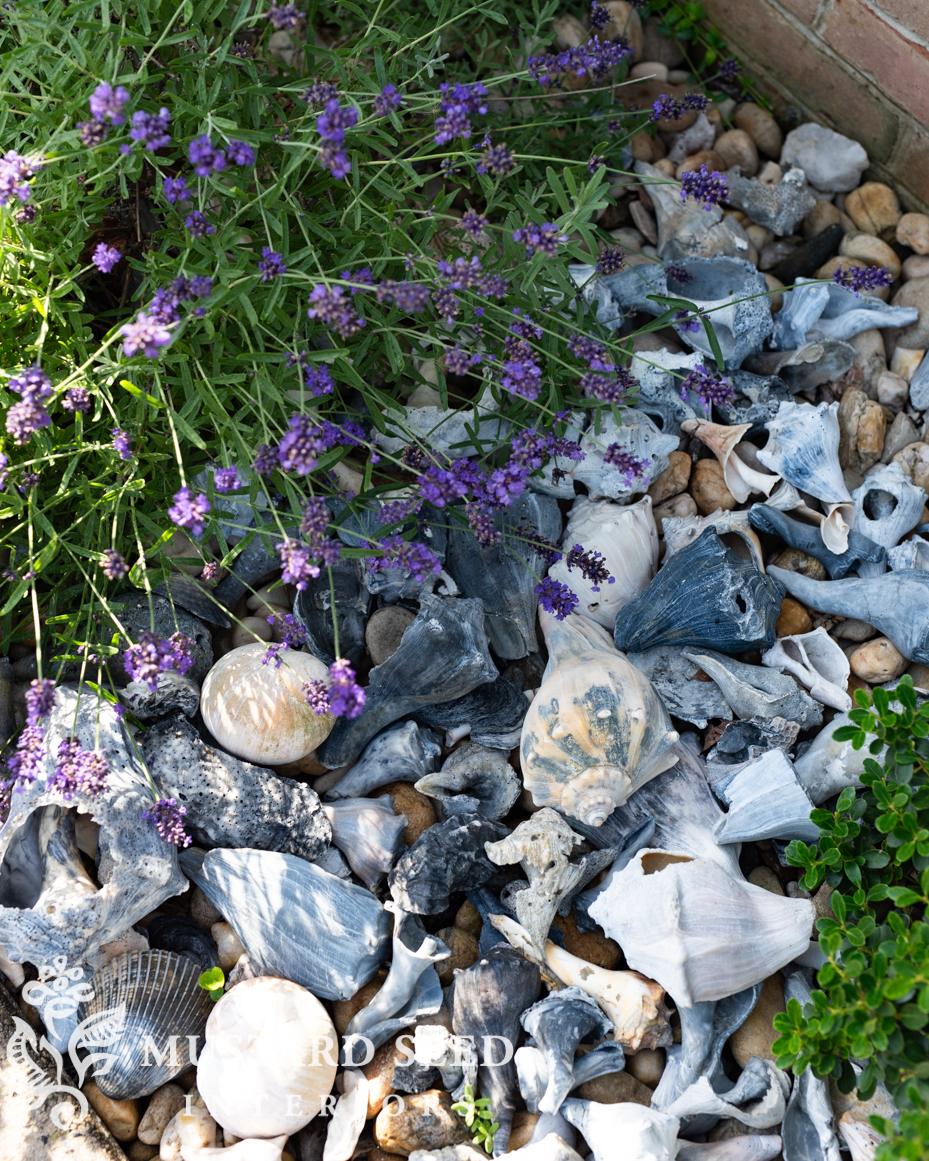 June gardening notes | miss mustard seed