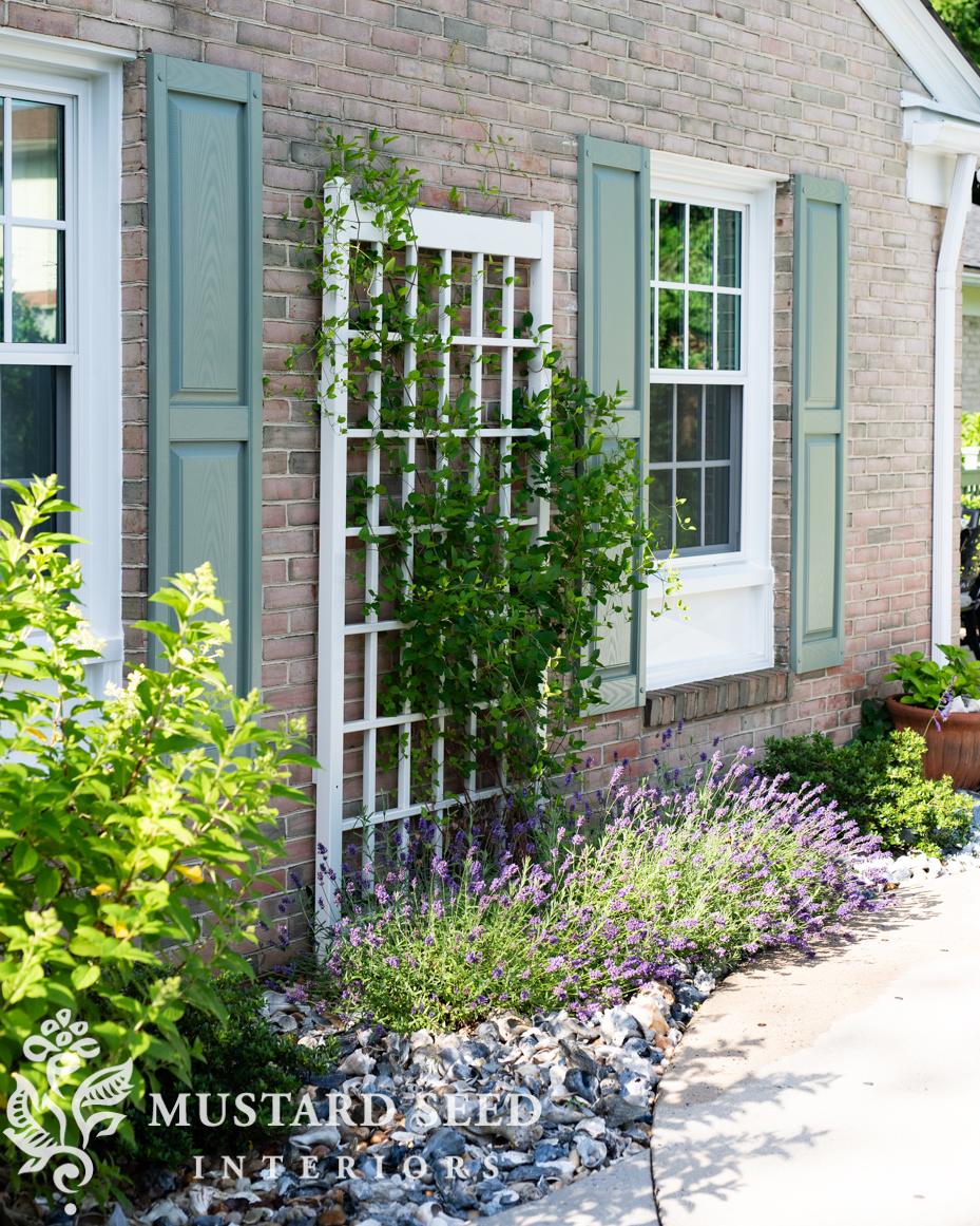 June gardening notes | miss mustard seed