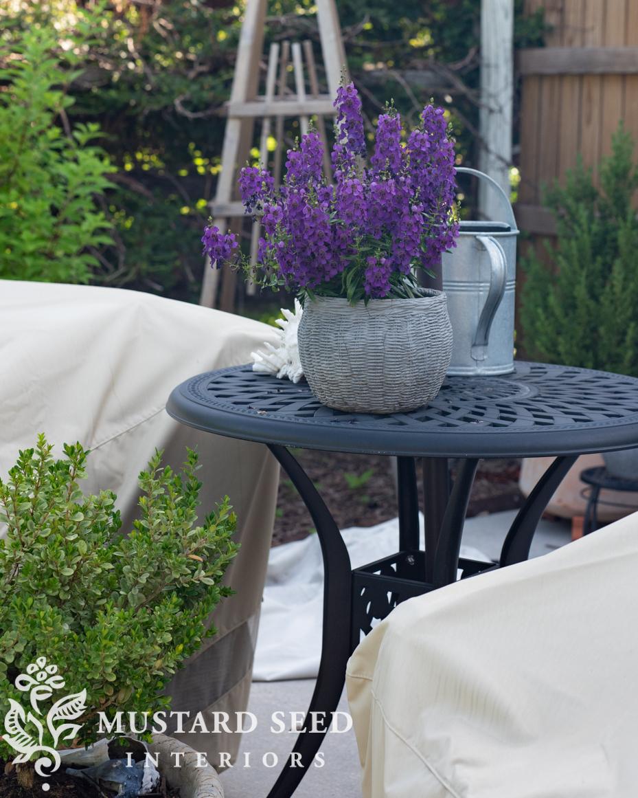 June gardening notes | miss mustard seed
