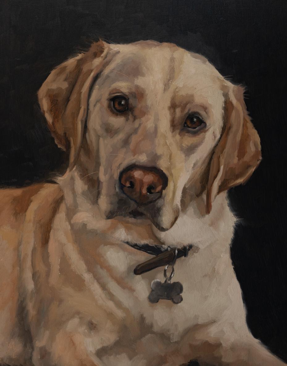 original oil painting | dog portrait | marian parsons fine art