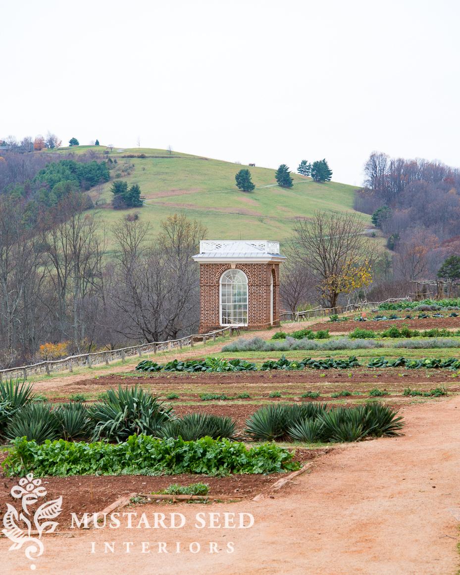 garden at Monticello | miss mustard seed