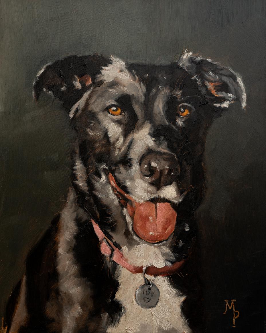 tips for taking good pet photos for a pet portrait | miss mustard seed | marian parsons fine art 