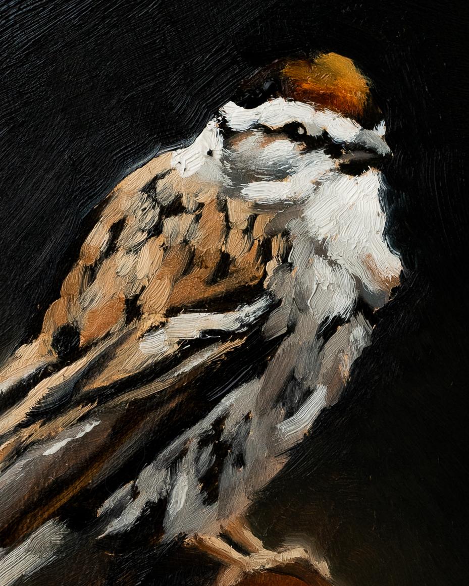marian parsons fine art | original oil painting