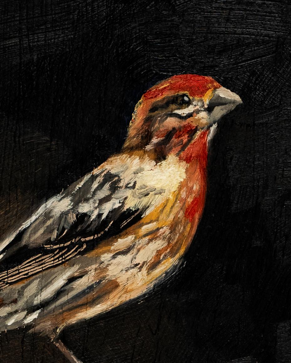 marian parsons fine art | original oil painting