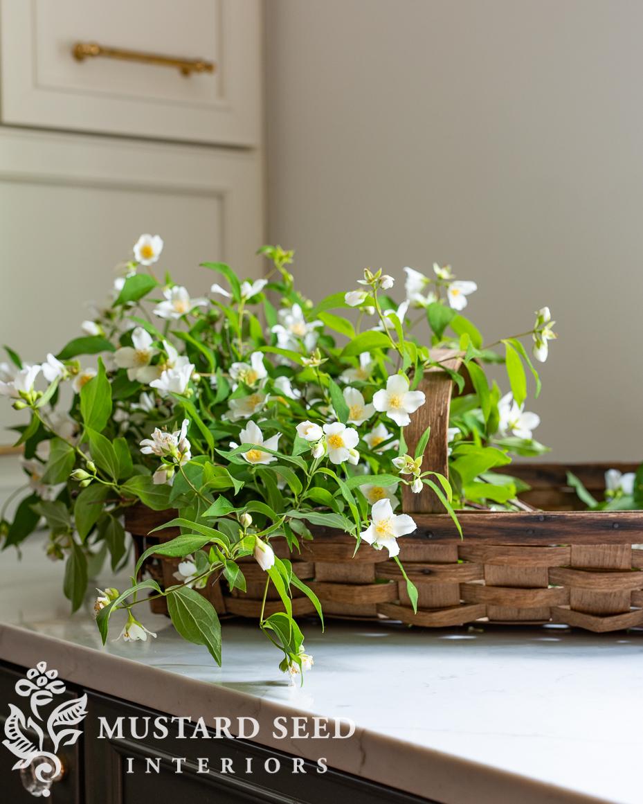 mock orange blossoms | miss mustard seed