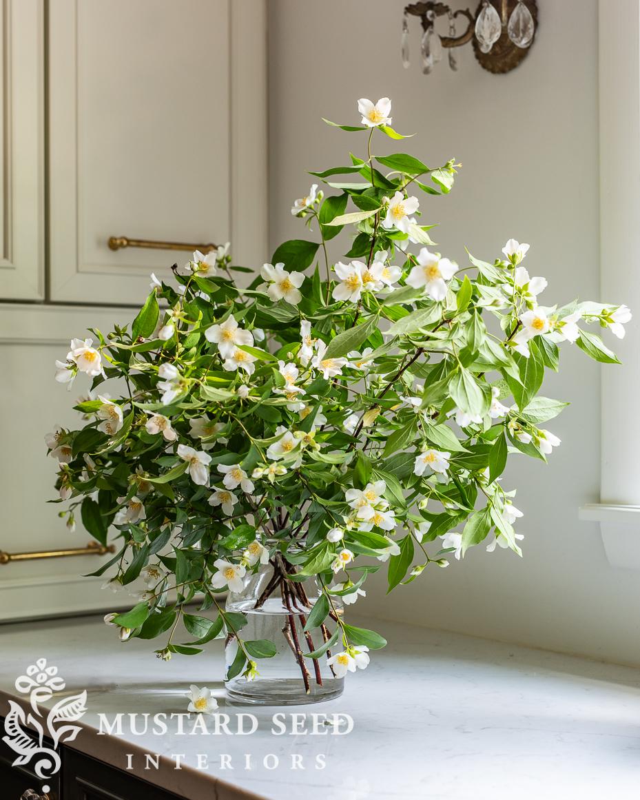 mock orange blossoms | miss mustard seed