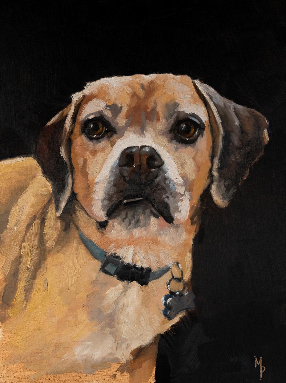 tips for taking good pet photos for a pet portrait | miss mustard seed | marian parsons fine art 