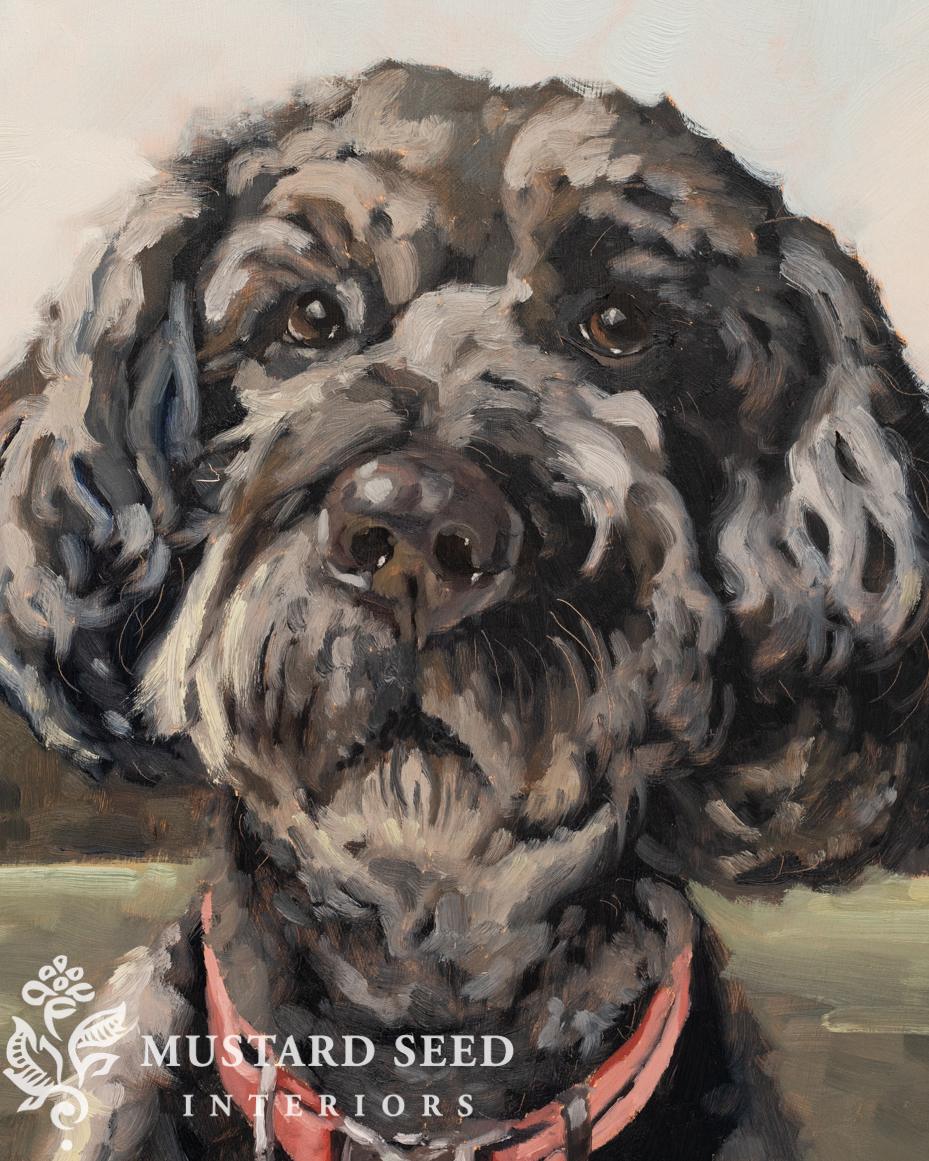 dog pet portrait | miss mustard seed