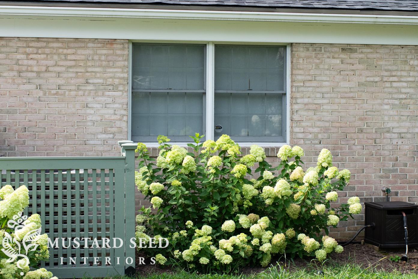 installing shutters on brick | miss mustard seed