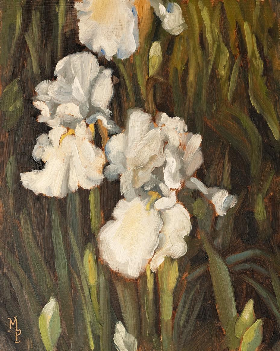 white iris oil painting | marian parsons | miss mustard seed